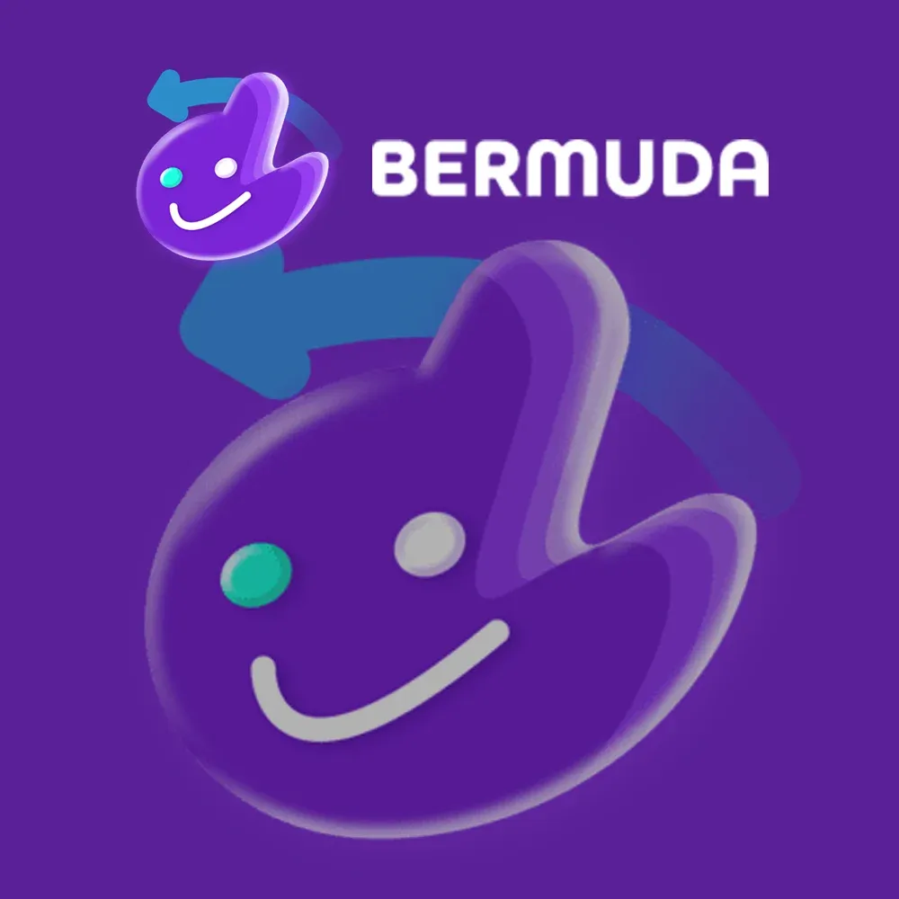 Banner Bermuda